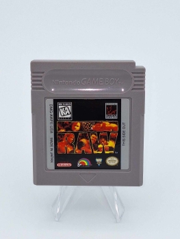 WWF RAW Wrestling